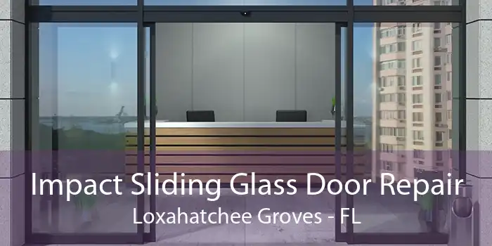 Impact Sliding Glass Door Repair Loxahatchee Groves - FL