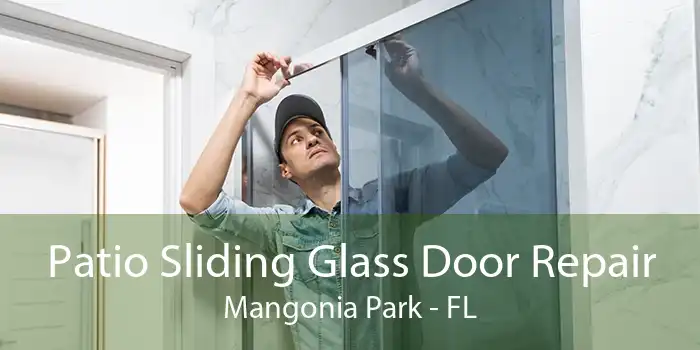 Patio Sliding Glass Door Repair Mangonia Park - FL