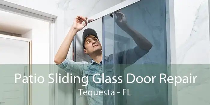 Patio Sliding Glass Door Repair Tequesta - FL