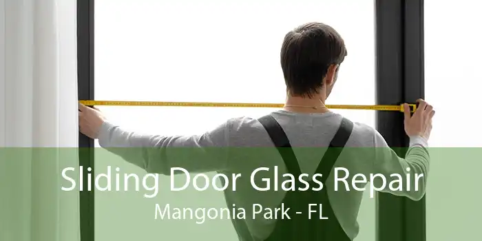 Sliding Door Glass Repair Mangonia Park - FL