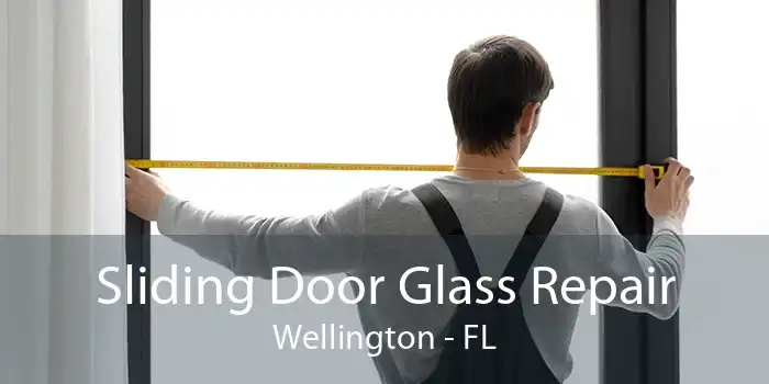 Sliding Door Glass Repair Wellington - FL