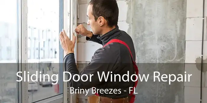 Sliding Door Window Repair Briny Breezes - FL