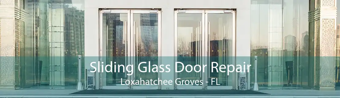 Sliding Glass Door Repair Loxahatchee Groves - FL
