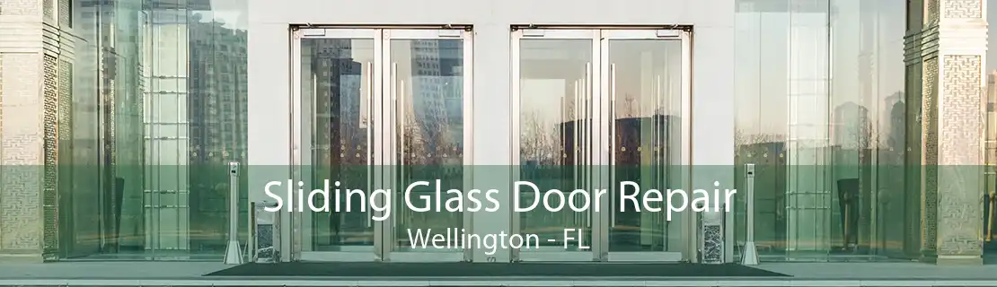 Sliding Glass Door Repair Wellington - FL
