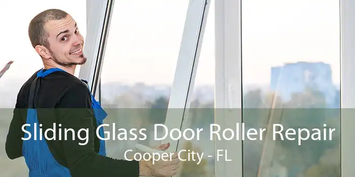 Sliding Glass Door Roller Repair Cooper City - FL