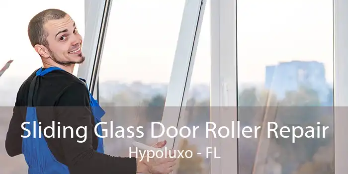 Sliding Glass Door Roller Repair Hypoluxo - FL