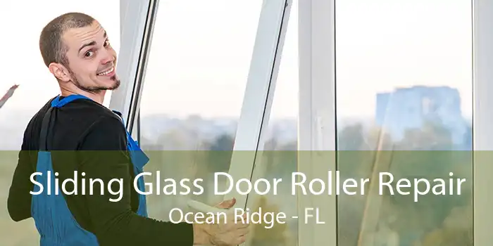 Sliding Glass Door Roller Repair Ocean Ridge - FL